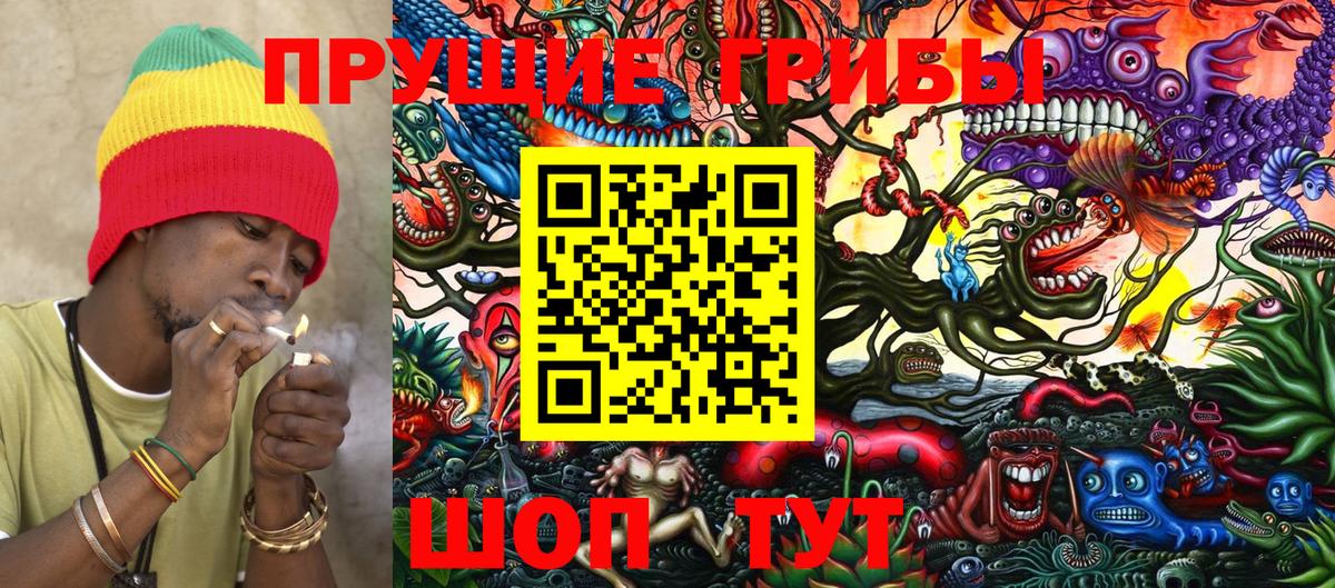 Псилоцибиновые грибы Psilocybe  Вход с VPN  где можно купить наркотик  Амурск 